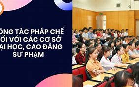 Đội Pháp Chế