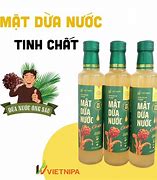 Dừa Nước Cần Giờ