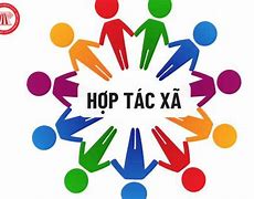 Hợp Tác Xã Nghĩa Tiếng Anh Là Gì