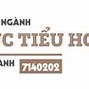 Mã Ngành Giáo Dục Tiểu Học Đại Học Đồng Tháp