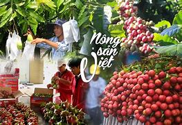 Những Loại Nông Sản Xuất Khẩu Của Việt Nam 2020 Là