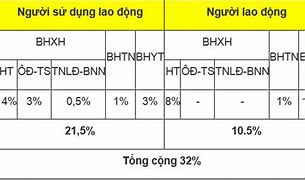 Số Công Ty Bảo Hiểm Xã Hội