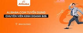 Tracodi Alibaba Vietnam Tuyển Dụng 2024 Online